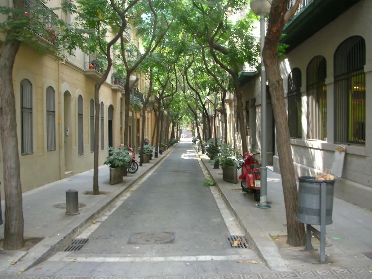 Groc Maiol Apartment Barcelona